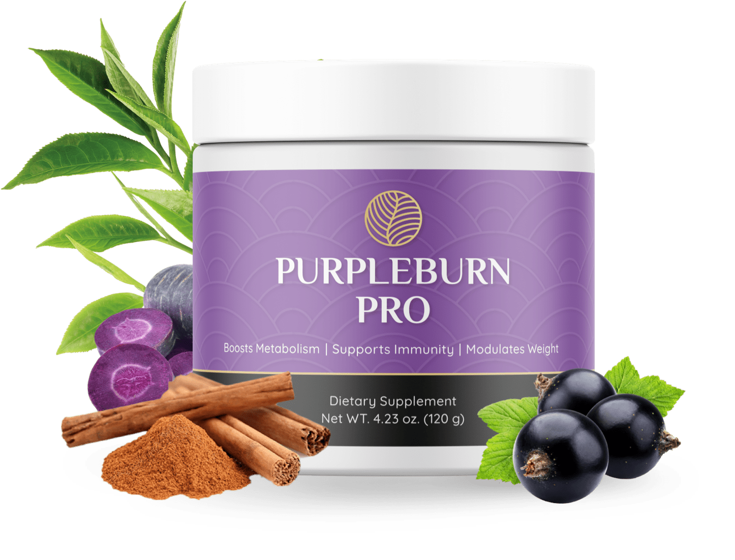 PURPLEBURN PRO